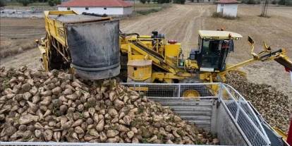 Sivaslı pancar üreticisinin beklediği fiyat açıklandı!