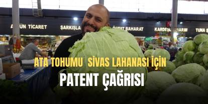 Ata tohumu Sivas lahanası için patent çağrısı