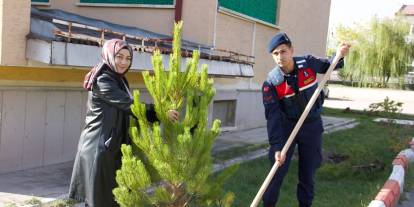 Altınyayla’da yeşil seferberlik başladı