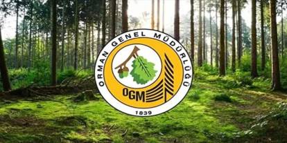 Orman Genel Müdürlüğü 12 müfettiş yardımcısı istihdam edecek