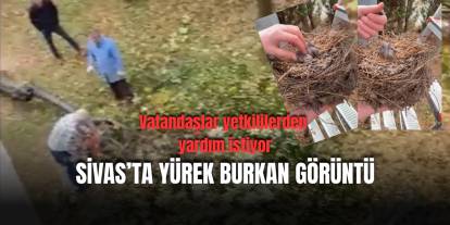 Sivas’ta yürek sızlatan görüntüler için yetkililere çağrı