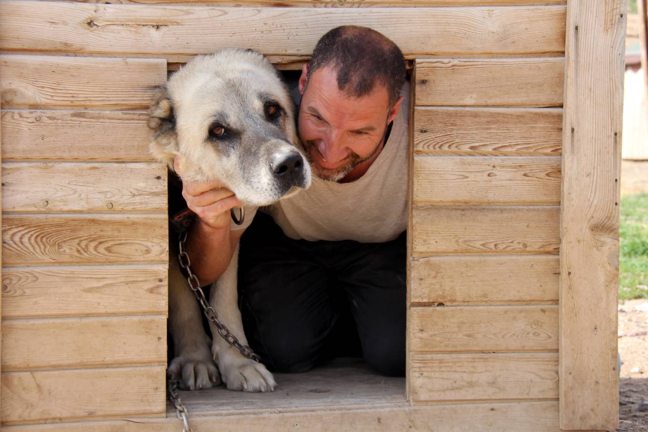 uyusturucunun-yeni-kabusu-kangal-olabilir-1.jpg