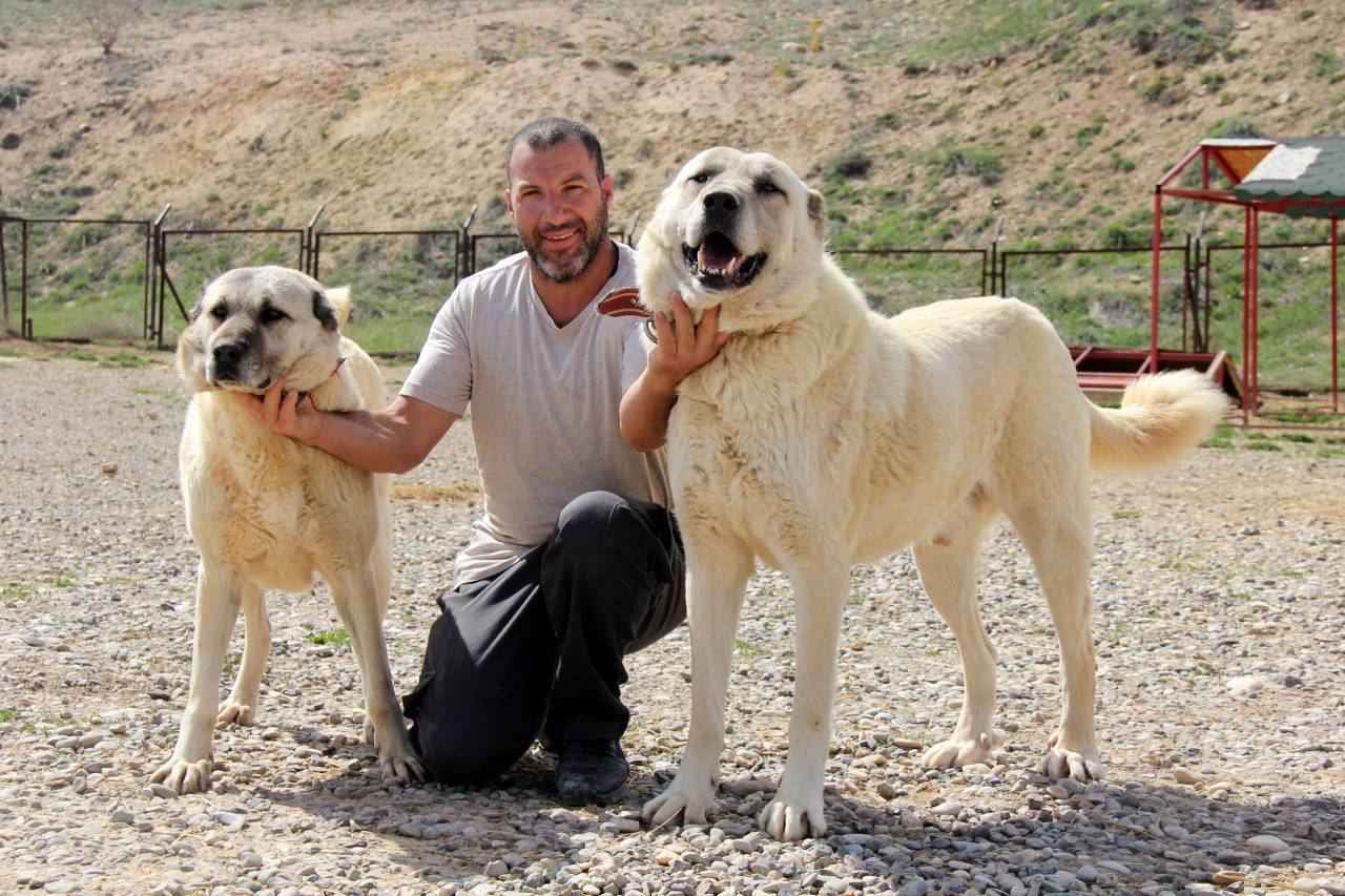 uyusturucunun-yeni-kabusu-kangal-olabilir-6.jpg