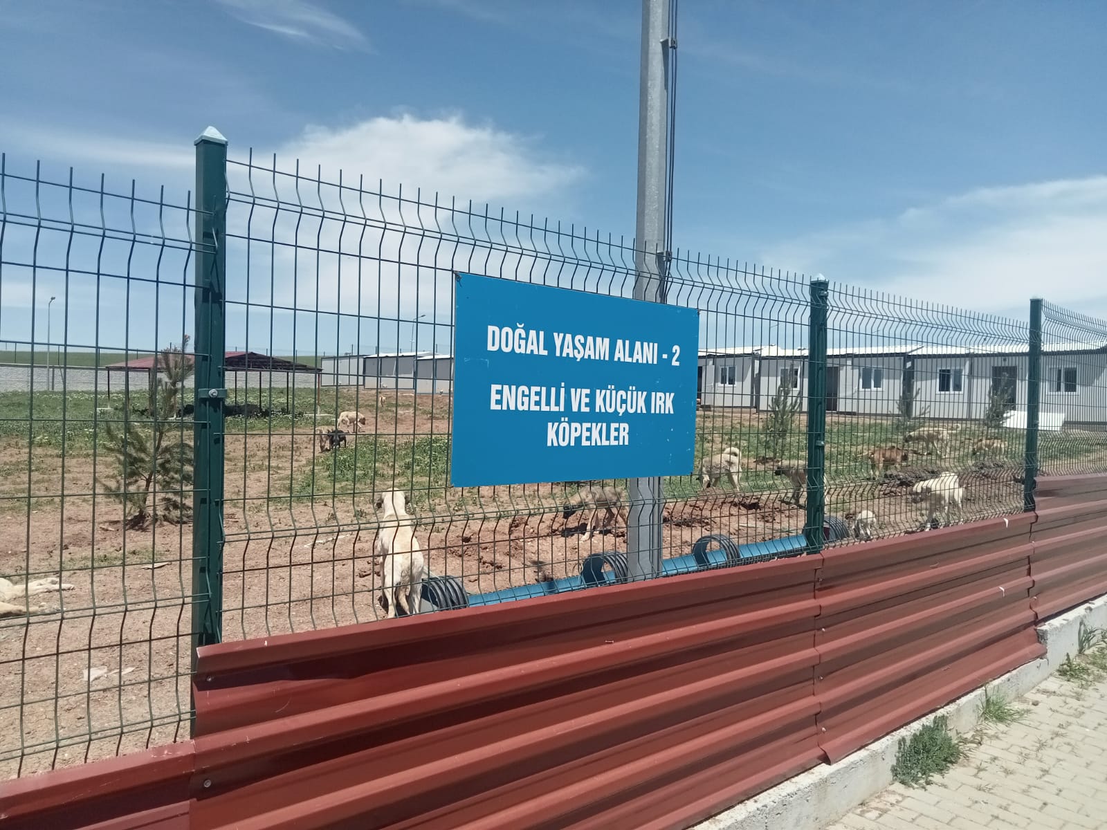 lceden-toplatiliyor-merkeze-getiriliyor-2.jpg