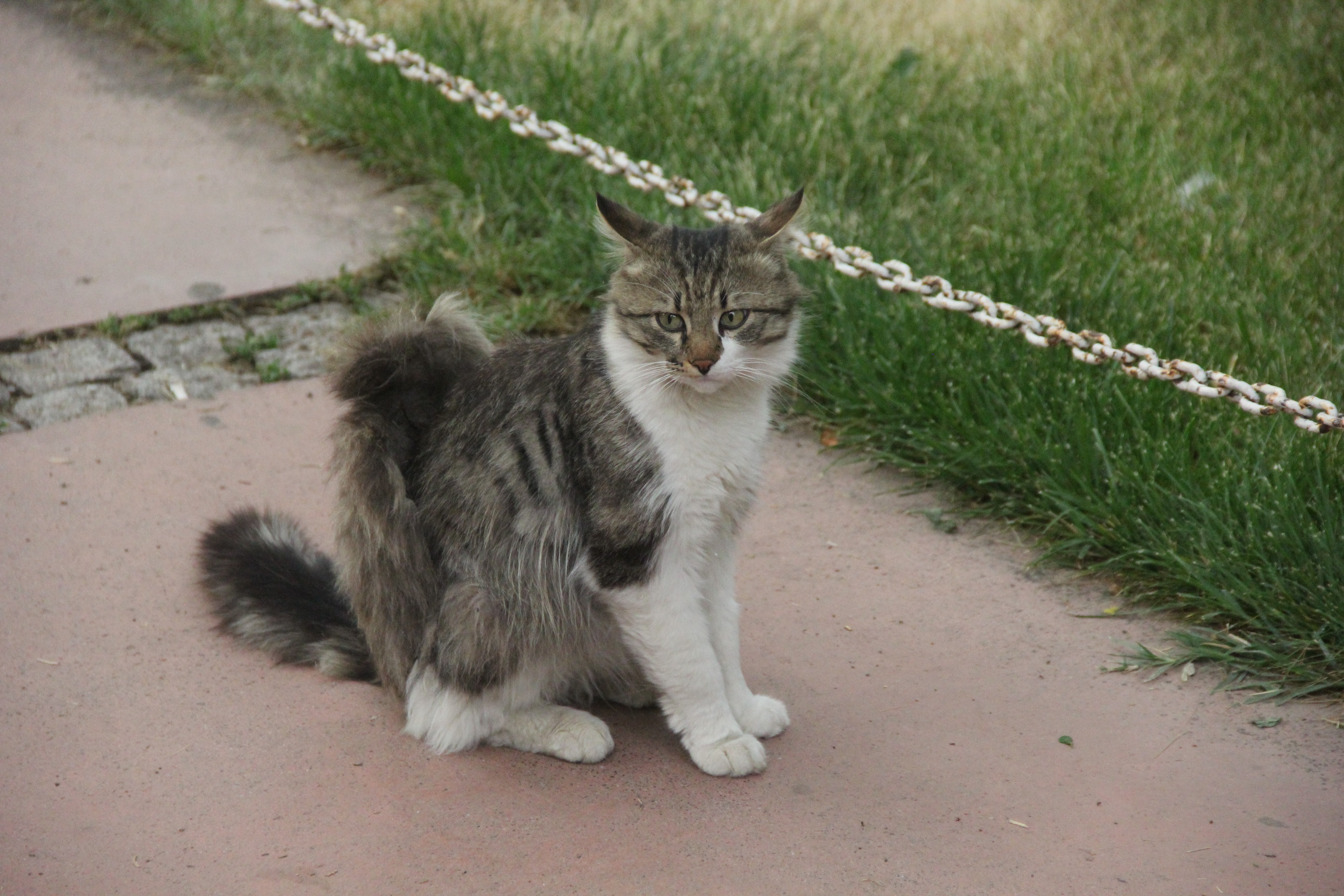 aw474412-02.jpg