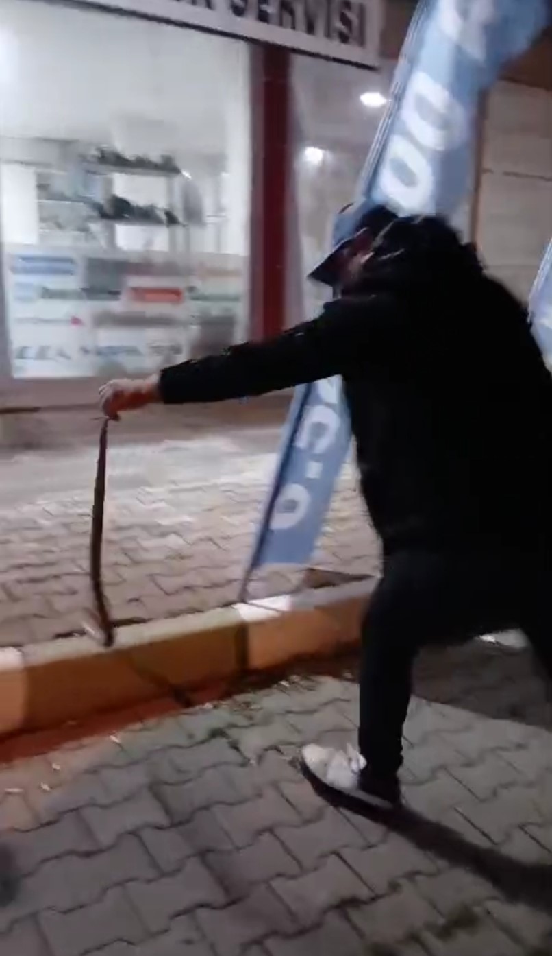 sivasta-misafirlik-gelenegi-suruyor-bu-kez-misafir-bir-yilandi-1.jpg