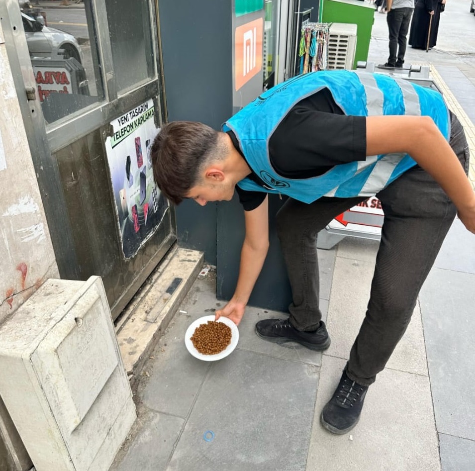 sivas-ulku-ocaklarindan-sokak-hayvanlarina-mama-destegi.jpg