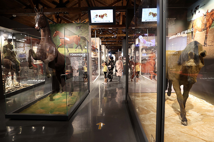 hamidiye-kultur-bahcesi-savas-atlari-muzesi-3979.jpg