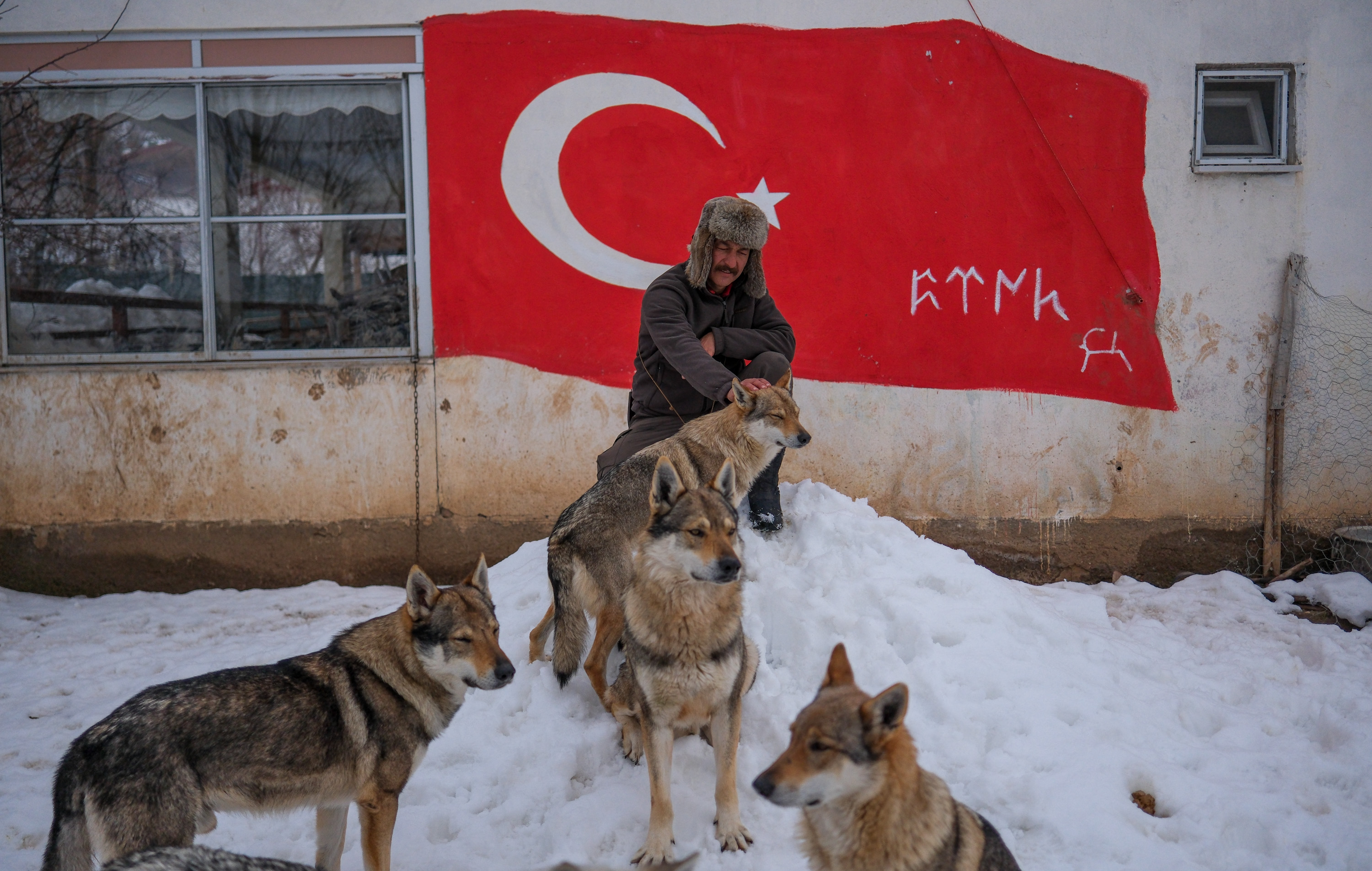 aa-20260218-40591974-40591960-sivasin-bozkirinda-hayatini-adadigi-kurt-kopekleri-ve-yirtici-kuslariyla-yasiyor.jpg