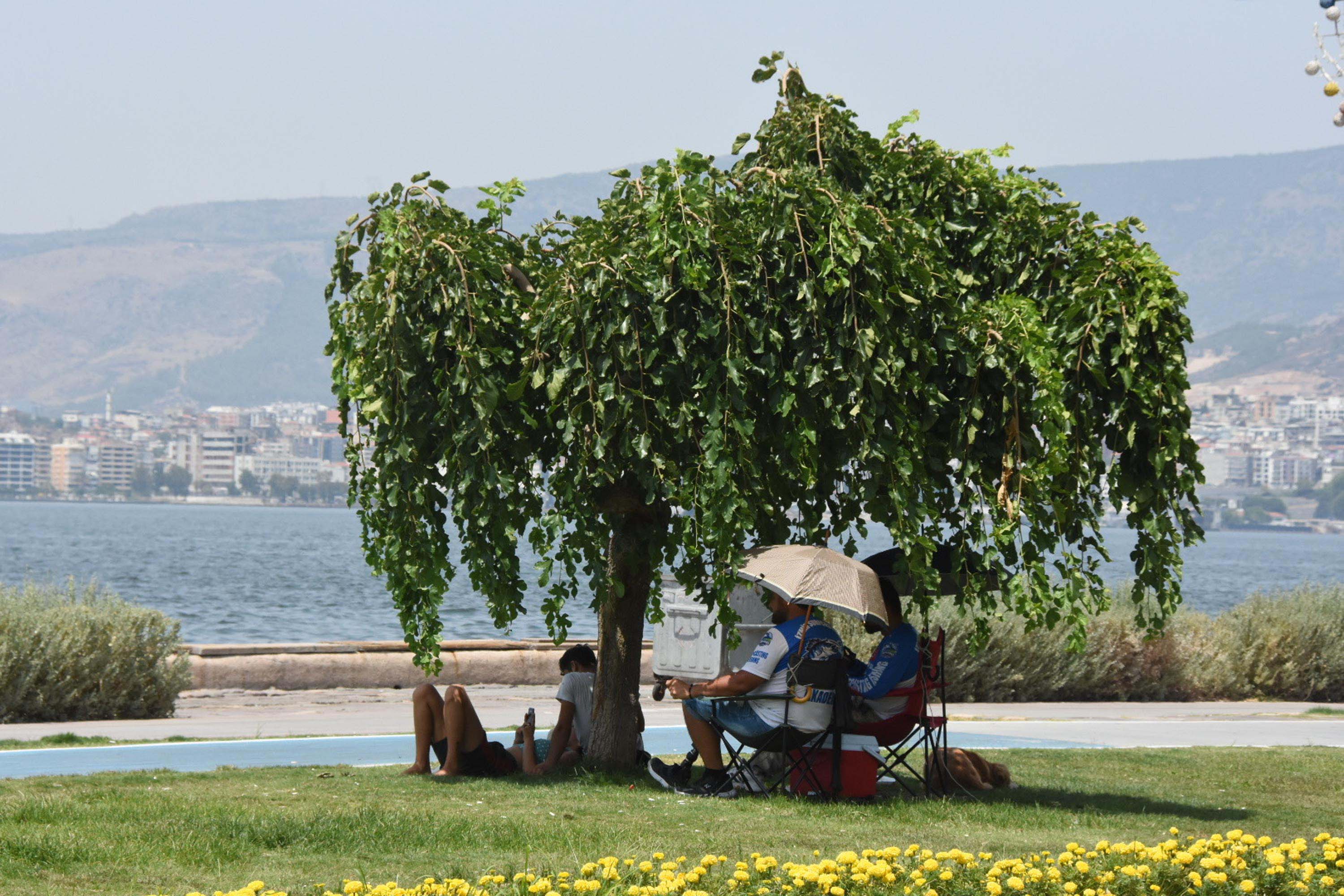 prof-dr-turkes-turkiyede-bu-yil-da-s-1288782-383466.jpg