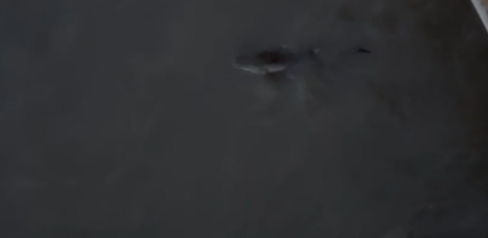 thbfhgbvc-001.png