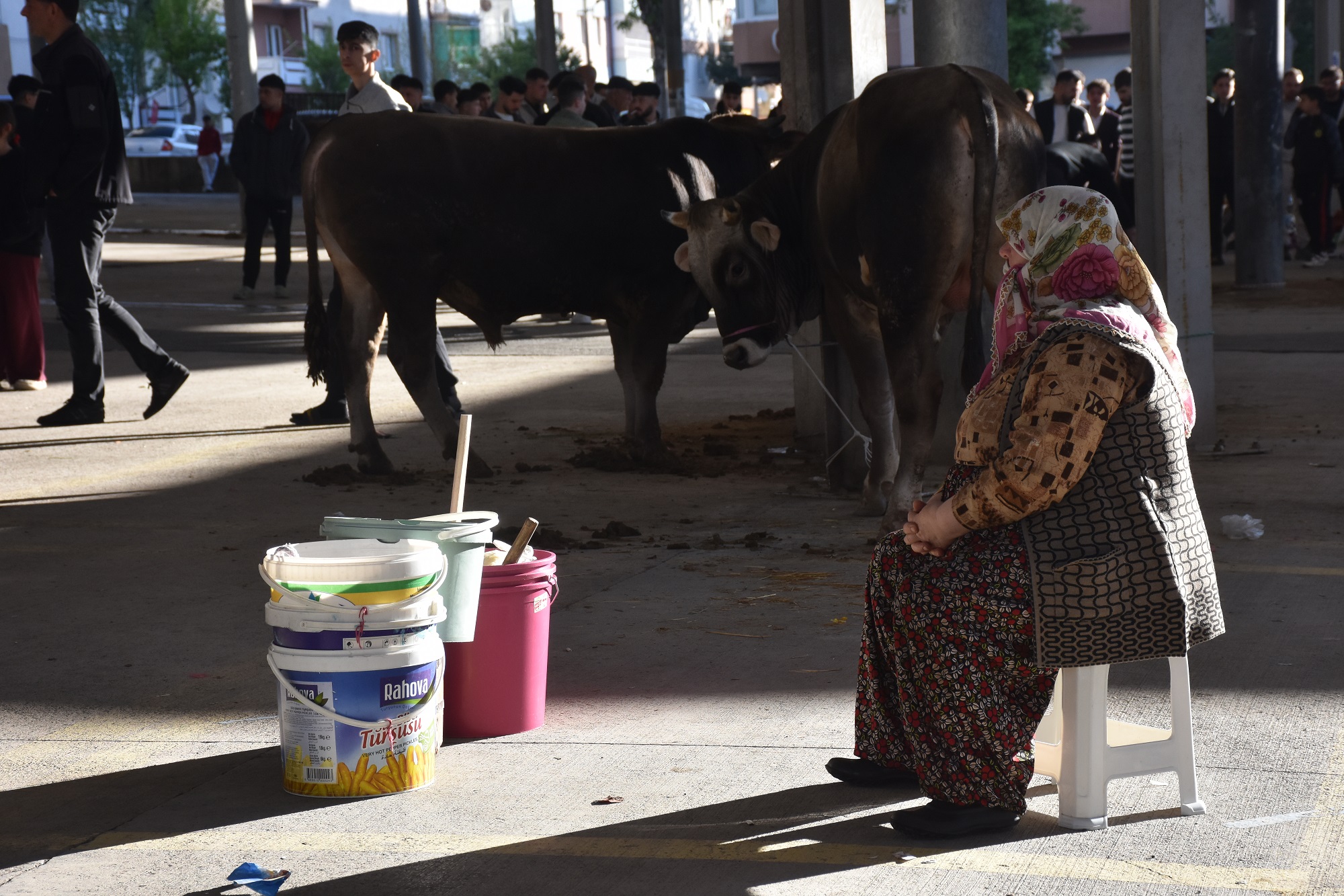 sivasta-kurban-kesim-noktalarinda-harek-1333101-396066.jpg
