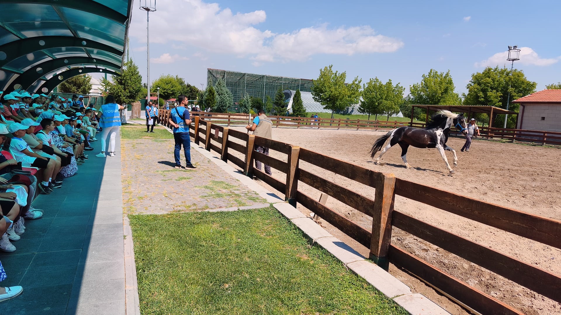 15-temmuzda-hayvanat-bahcesine-6-bin-zi-1414274-420335.jpg