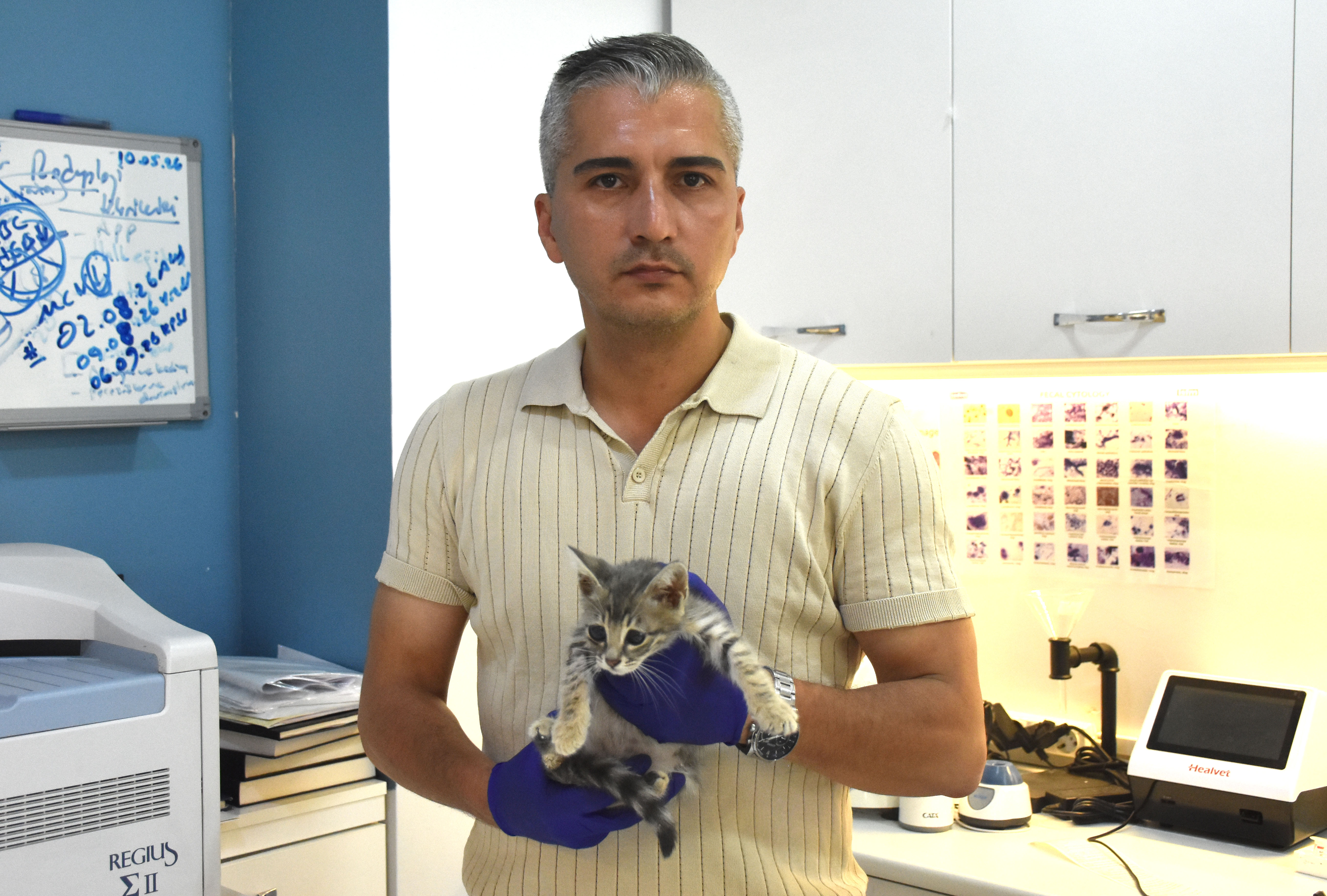 korneasi-hasarli-sokak-kedisine-lens-t-1417022-421143.jpg