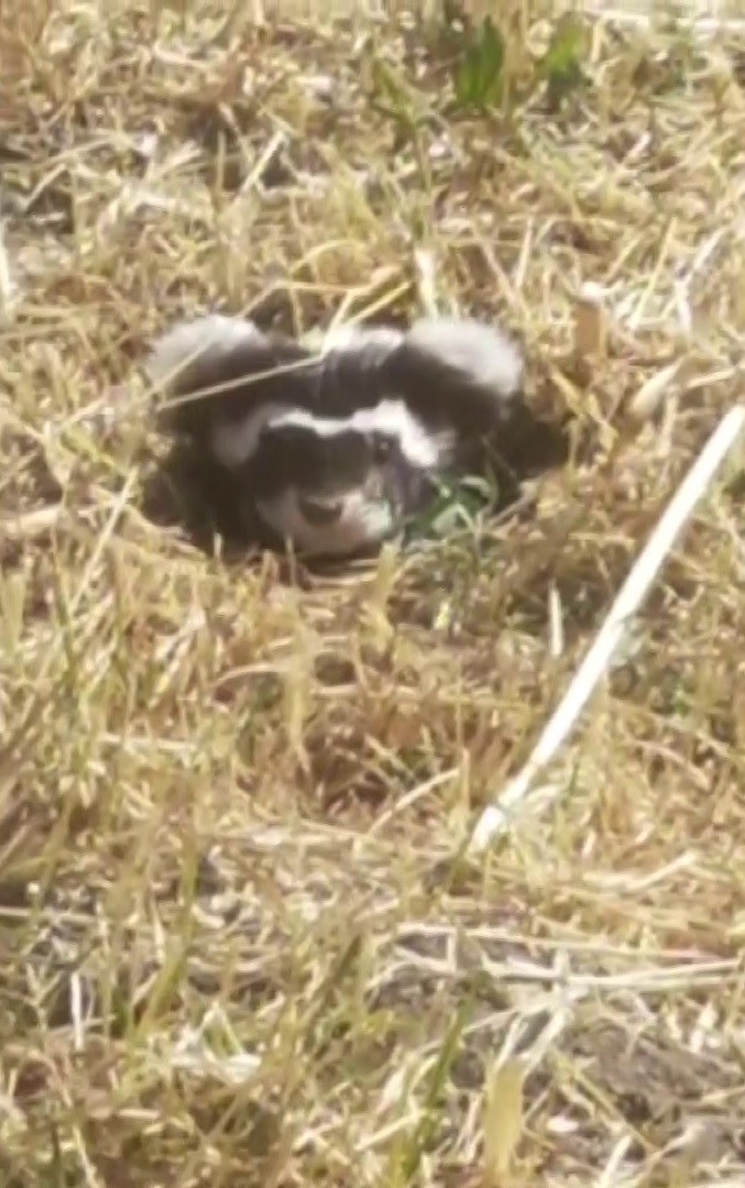 aw751745-02.jpg