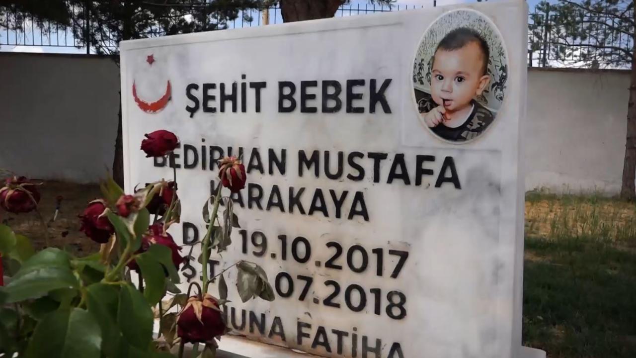 bedirhan-bebek-2262250.jpg