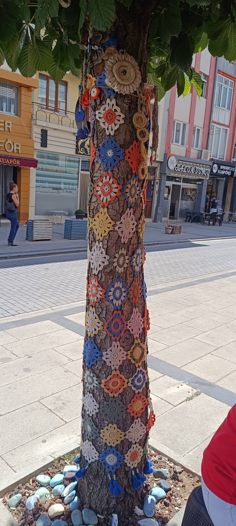 772889356-1359842296274421-114040698966315609-n.jpg