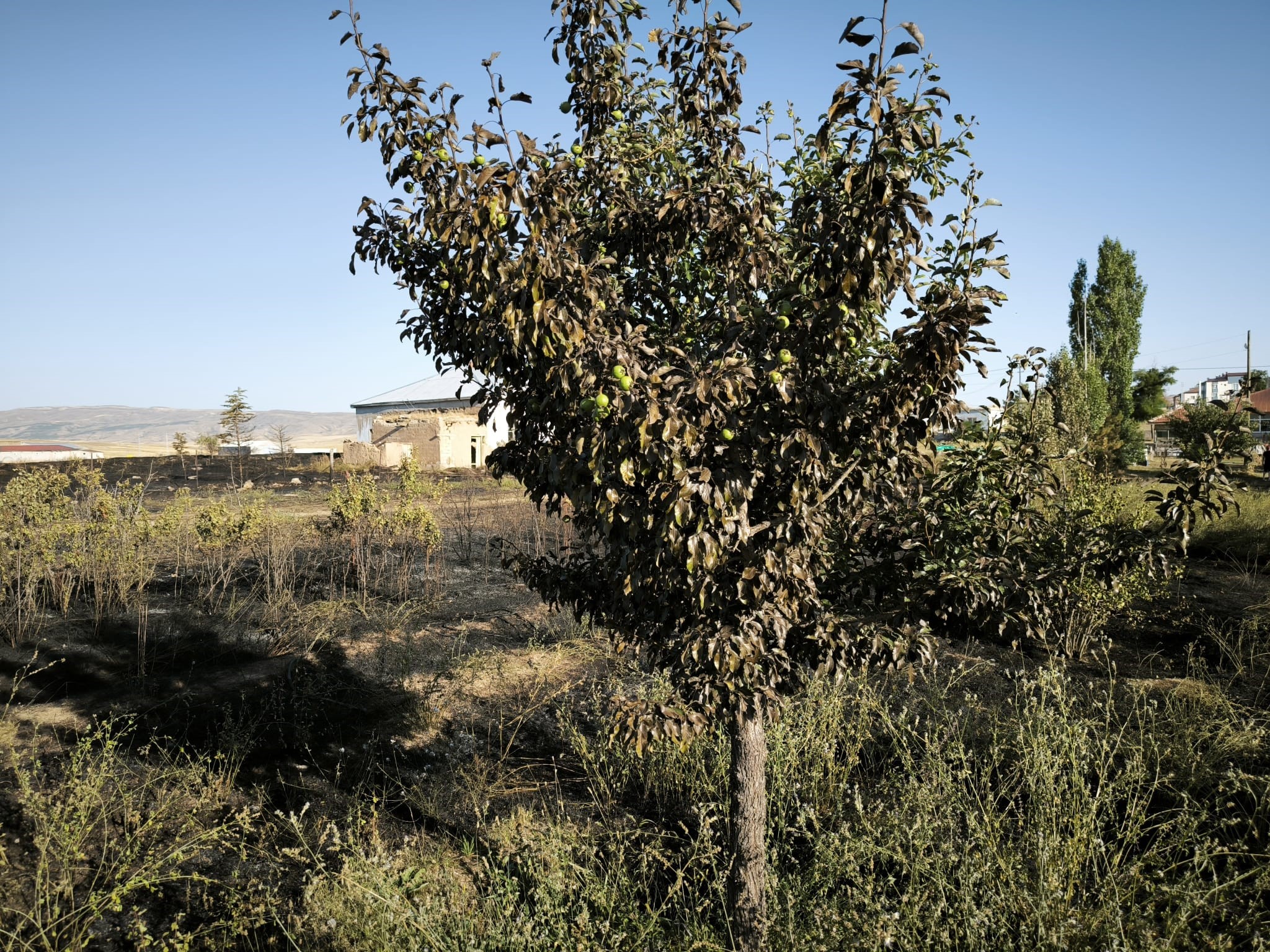 aw772665-06.jpg