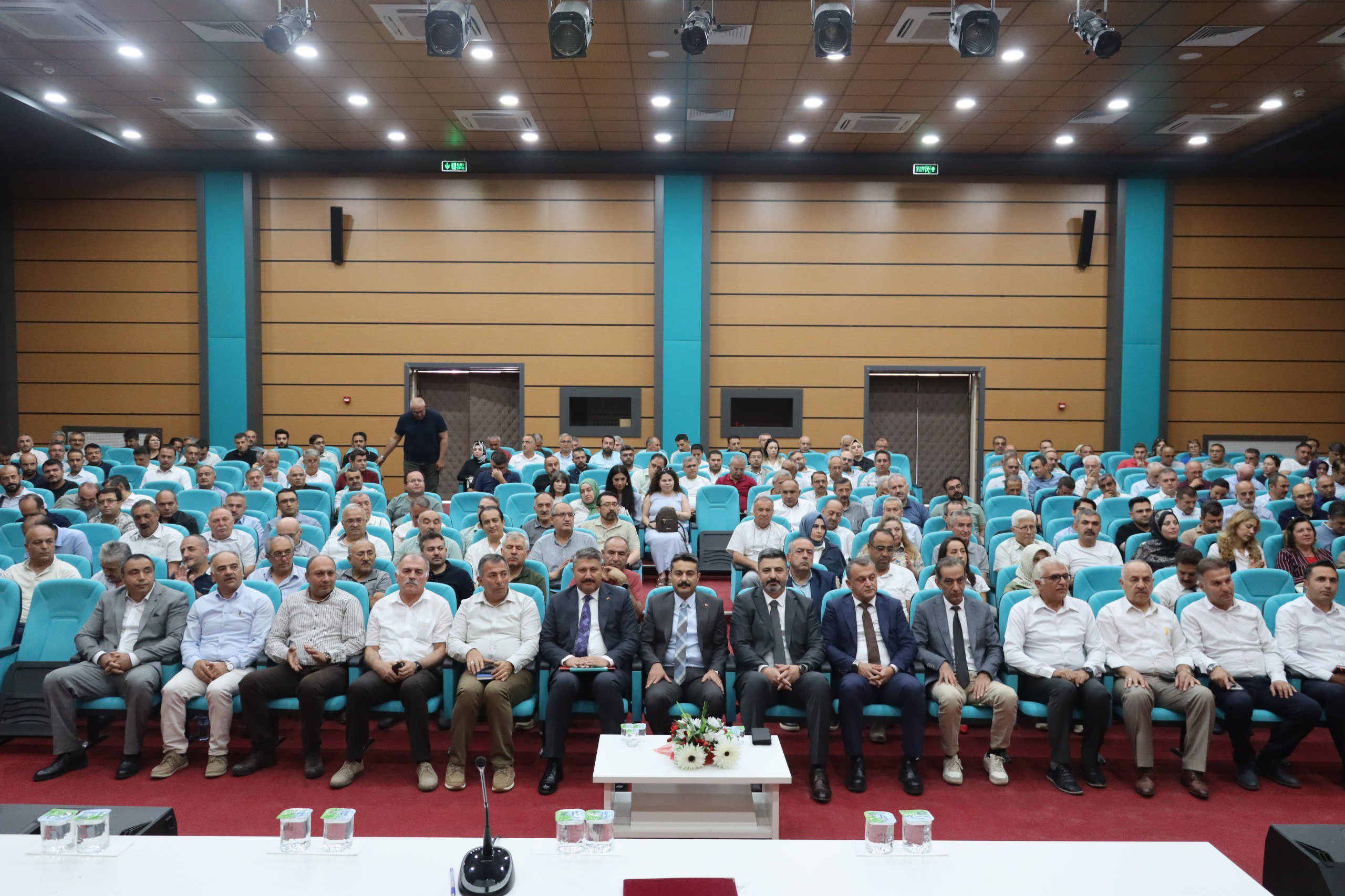 hqzc9dixmaa6hd7.jpg