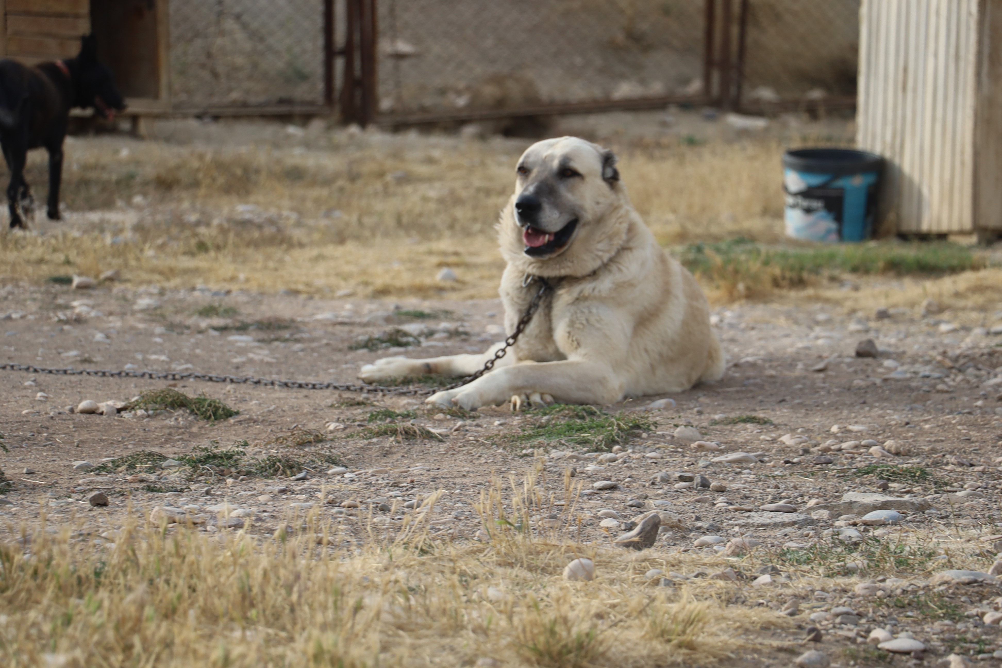 aw778926-01.jpg