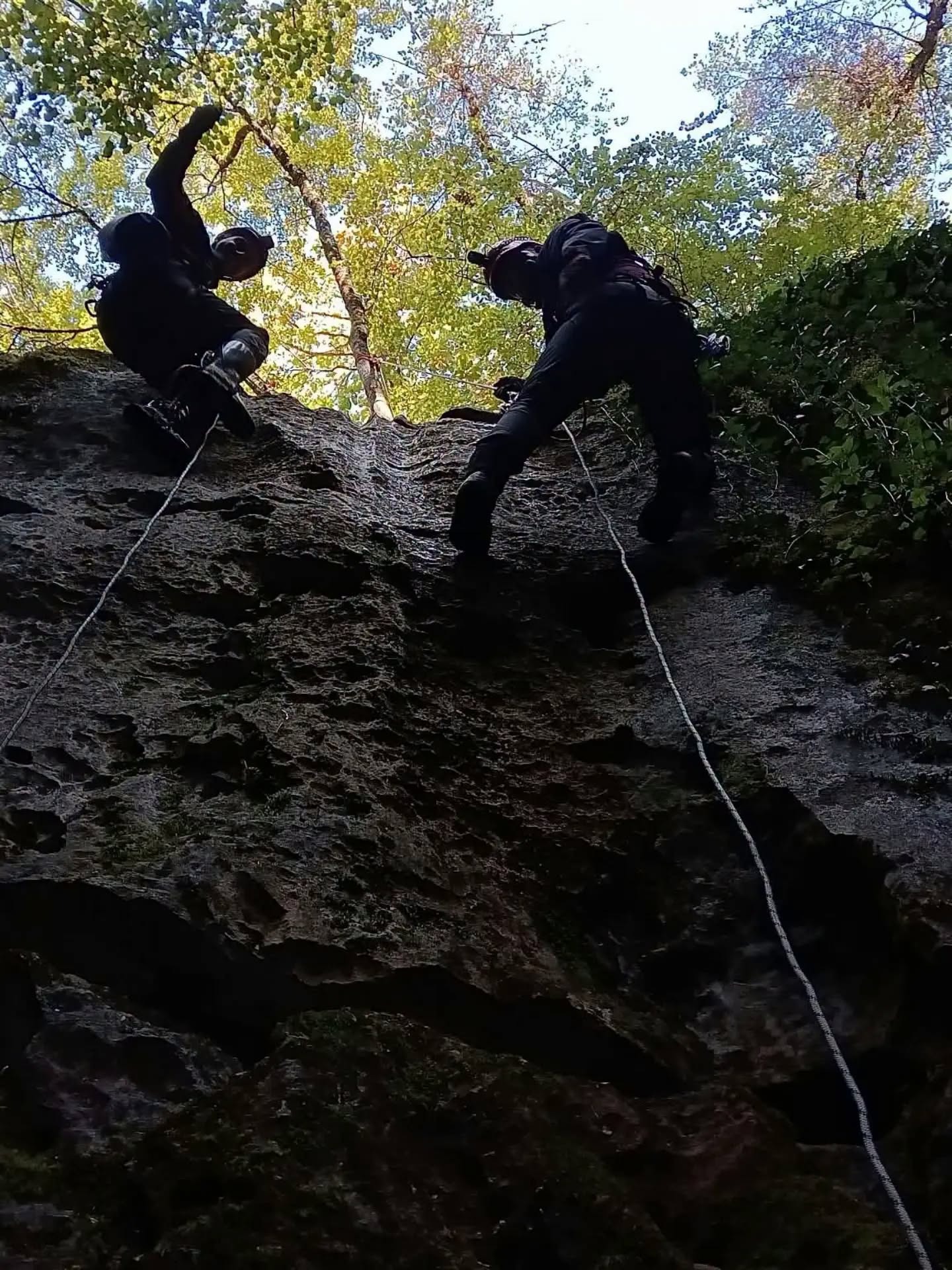 825353017-1639428897798459-3011776723085651435-n.jpg