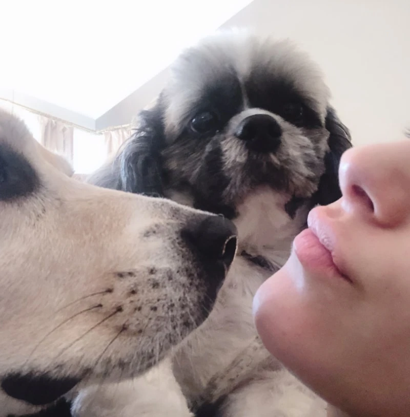6ac5c46aed24a133-w1200xh1218.webp