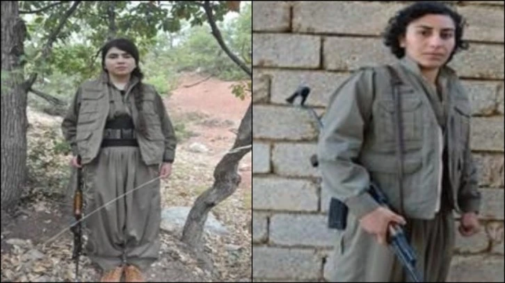 MİT'ten PKK/KCK'ye Darbe