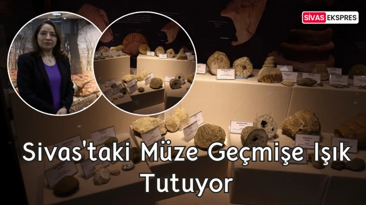 Sivas'taki Müze Geçmişe Işık Tutuyor