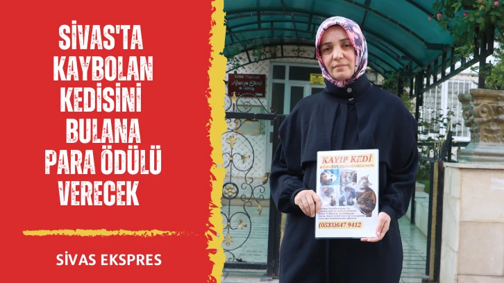 Sivas'ta Kaybolan Kedisini Bulana Para Ödülü Verecek  