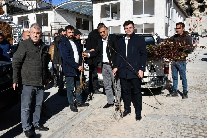 Gürün’de Ihlamur Fidanı Dağıtıldı