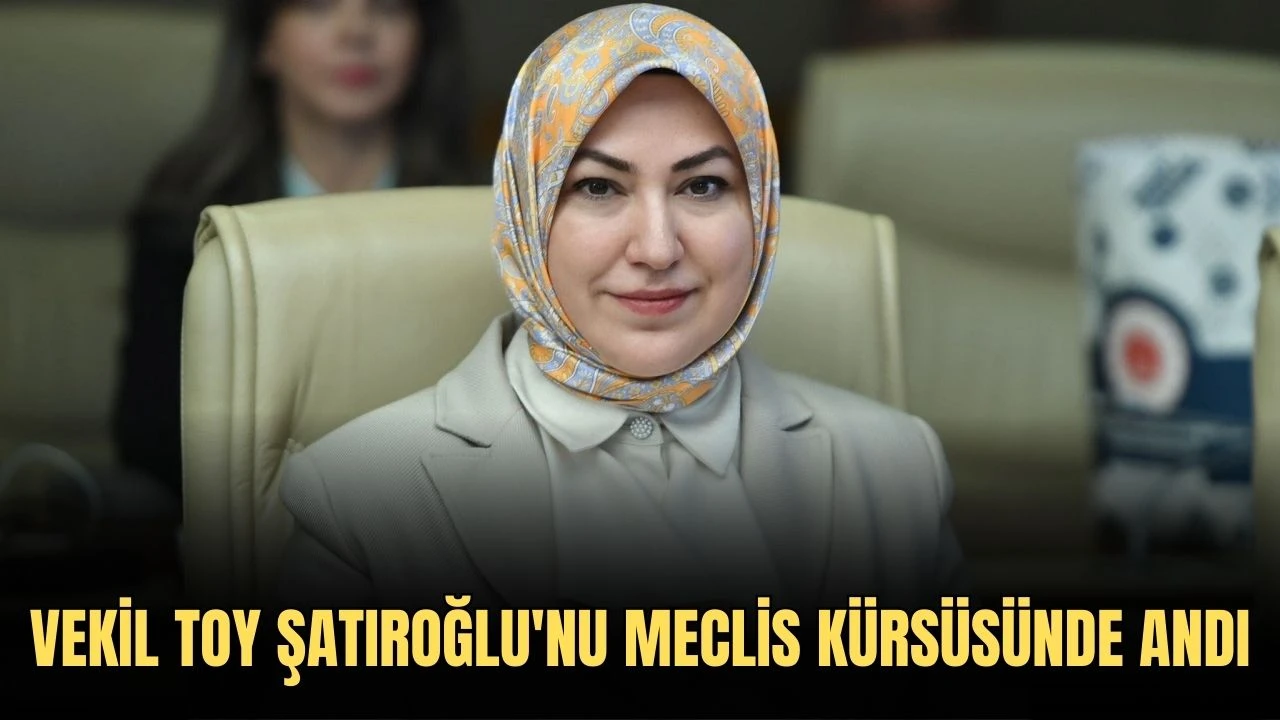 Vekil Toy Şatıroğlu'nu Meclis Kürsüsünde Andı