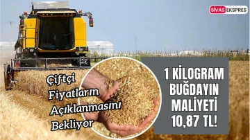 1 Kilogram Buğdayın Maliyeti 10,87 TL!
