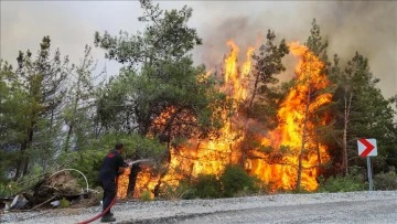 2 Bin 498 Orman Yangını Çıktı