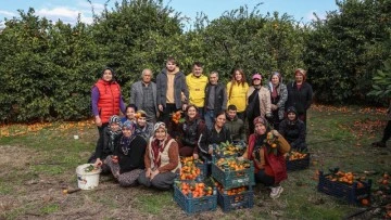 Gönüllüler Meyveleri Depremzedelere Dağıtıyor