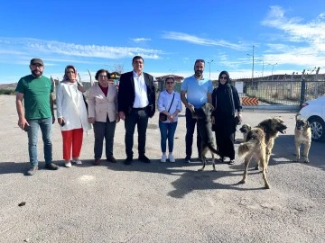 Karasu İddiaların Peşini Bırakmıyor