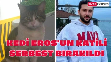 Kedi Eros'un Katili Serbest Bırakıldı
