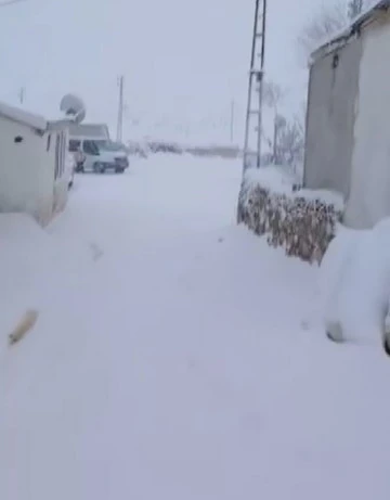 Sivas'ta Köy Kar Altında Kaldı