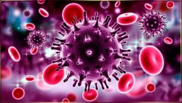 HIP Virüsü Öldürür Mü?