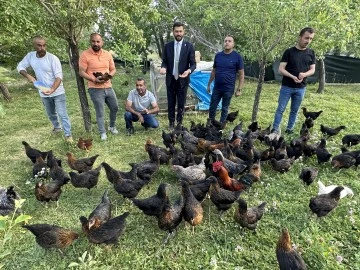 Öğretmenler Tavuk Çiftliği Kurdu