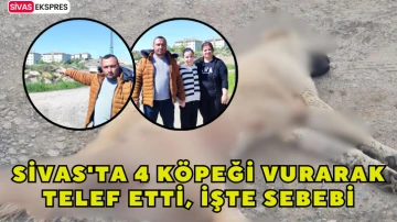 Sivas'ta 4 Köpeği Vurarak Telef Etti, İşte Sebebi