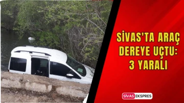 Sivas'ta Araç Dereye Uçtu: 3 Yaralı