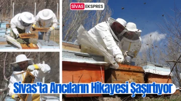 Sivas'ta Arıcıların Hikayesi Şaşırtıyor