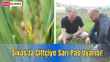 Sivas'ta Çiftçiye Sarı Pas Uyarısı!
