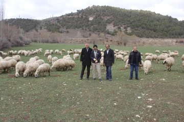 Sivas'ta Çoban Krizi Büyüyor