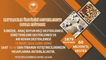 Sivas'ta Hayvancılığa 60 Milyon Destek