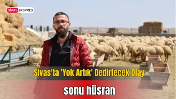 Sivas'ta 'Yok Artık' Dedirtecek Olay