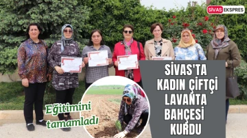 Sivas'ta Kadın Çiftçi Lavanta Bahçesi Kurdu