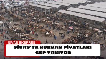 Sivas'ta Kurban Fiyatları Cep Yakıyor