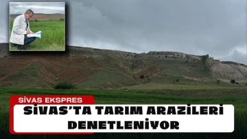 Sivas’ta Tarım Arazileri Denetleniyor