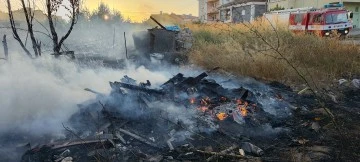 Sivas'ta Yangın Çıktı Köpekler Telef Oldu